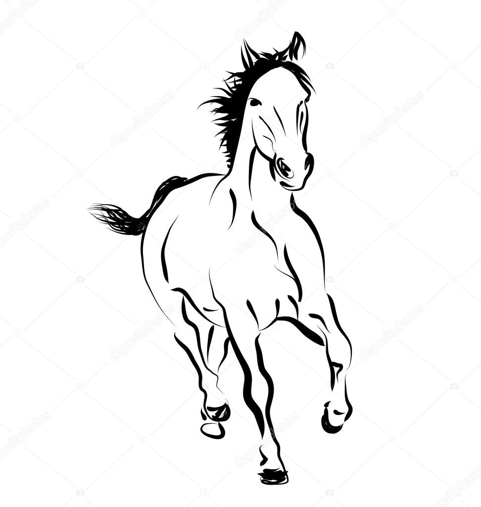 Esboço de linha de vetor de um cavalo correndo imagem vetorial de onot©  112718700